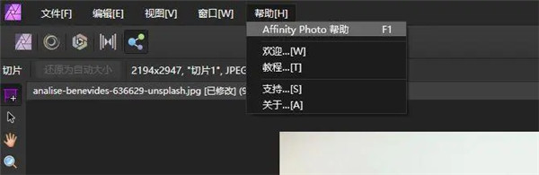 Affinity Photo电脑版使用方法15